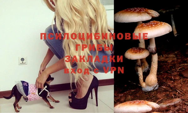 кокаин перу Алексеевка