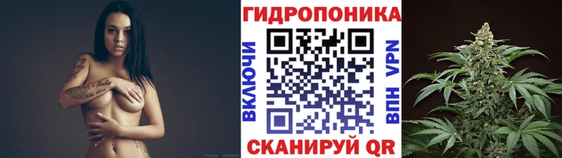 Марихуана конопля где купить наркоту Сортавала
